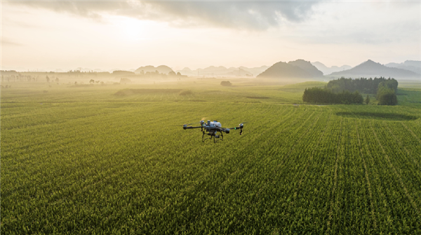 DJI lança drone agrícola T60: praticamente um saco de 50kg de fertilizantes por viagem.