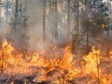 Drones podem ser utilizados para conter focos de incêndios